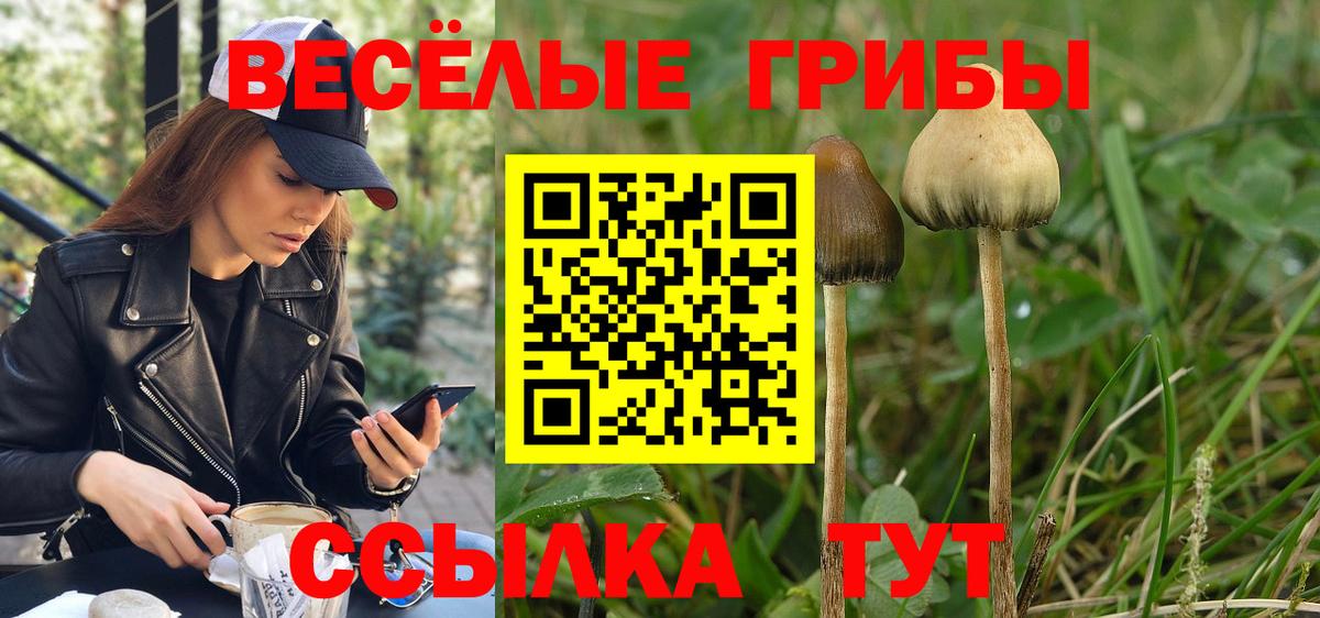 Галлюциногенные грибы MAGIC MUSHROOMS Мурманск